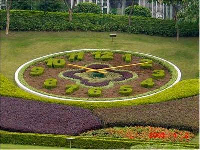 Low-profile floral clock integrated into a manicured lawn.